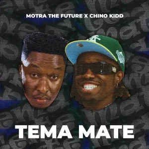 Tema Mate
