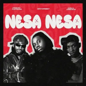 Nesa Nesa