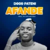 afandesingel