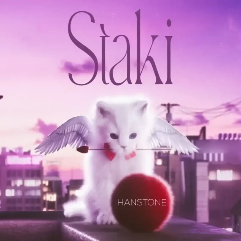 stakicc