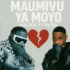 maumiviyamoto