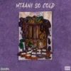 mtaanisocoldc
