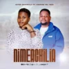 nimeachiliac