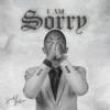 amsorryc