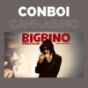 bigbinoc