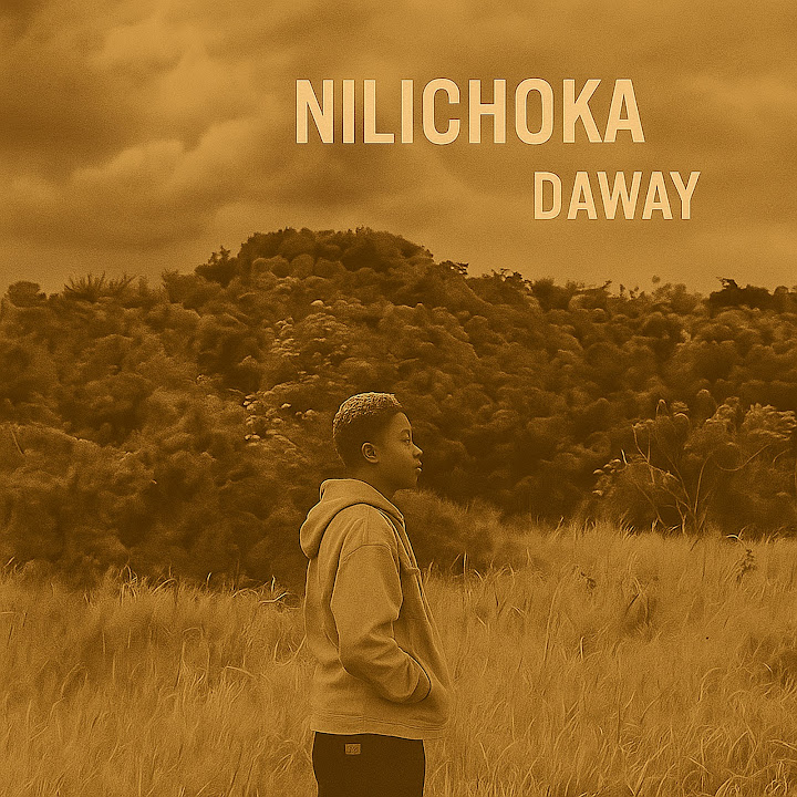 Nilichoka