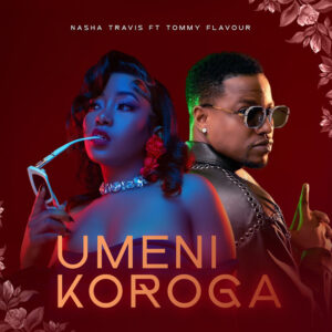 Umeni Koroga