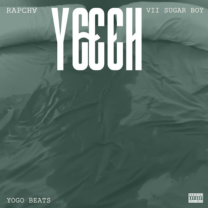 Vii Sugar Boy