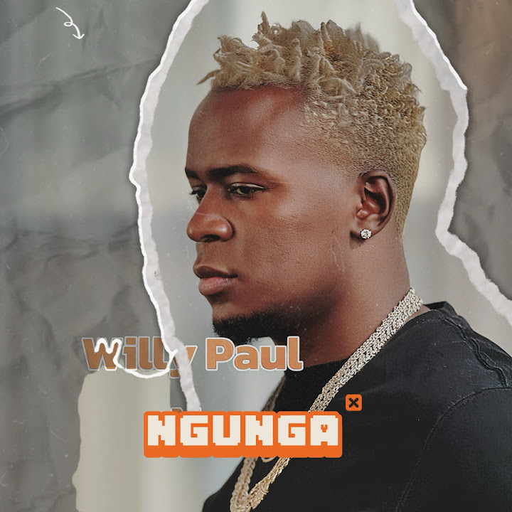 Willy Paul