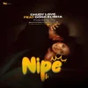 nipechudy