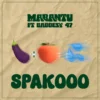 spakooc