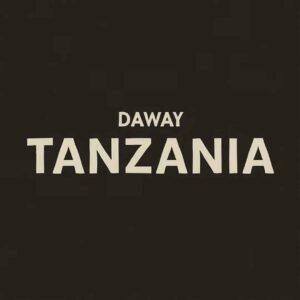 Tanzania (Accoustic)