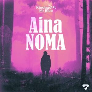 Aina Noma