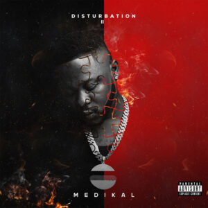 Disturbation 2 Album