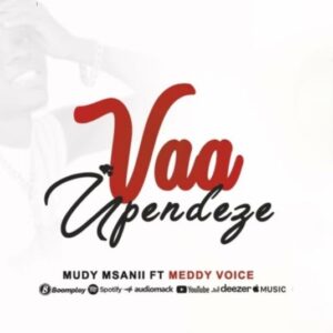 Vaa Upendeze