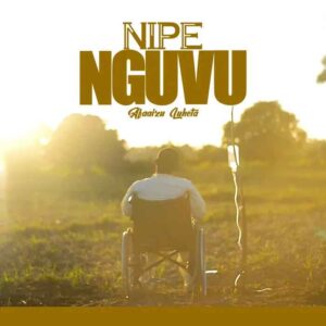 Nipe Nguvu