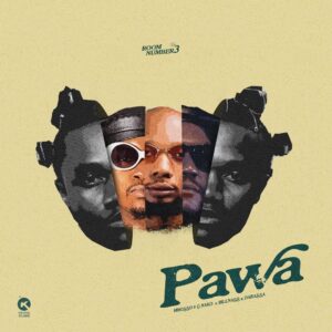 Pawa Remix (Tanzania)