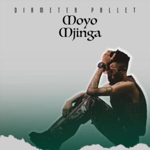 Moyo Mjinga