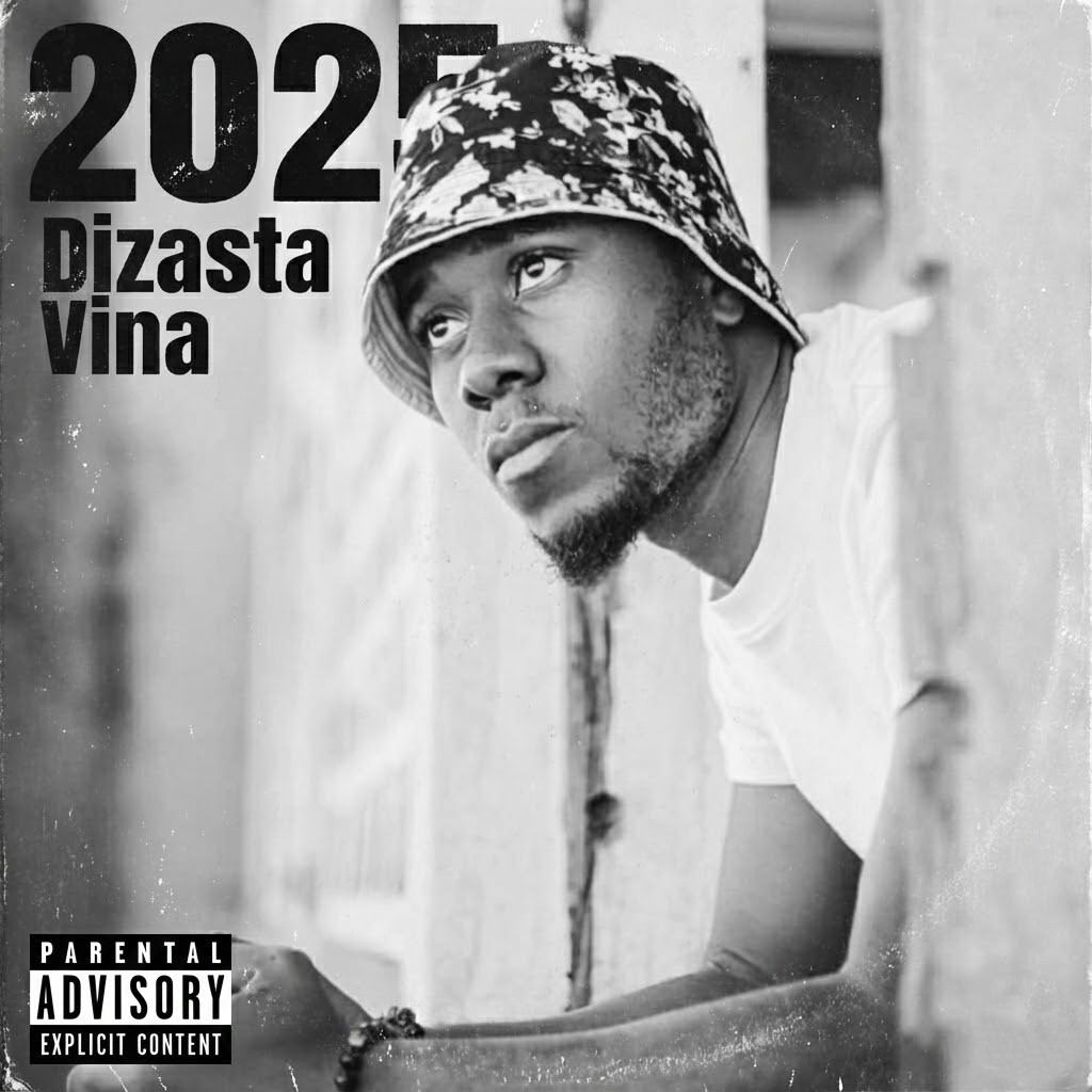 Dizasta Vina