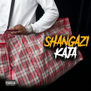 Tukusa 3V (Shangazi Kaja)